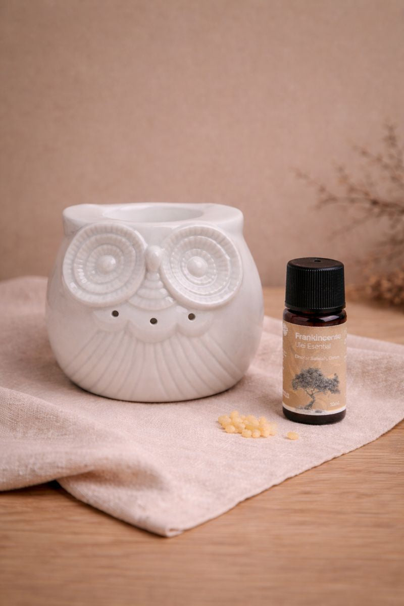 Incalzitor ceramic bufnita pentru uleiuri esentiale, prezentare in cadru ritualic